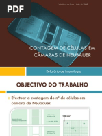 Contagem de células em câmaras de Neubauer- apresentação