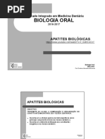 2 Apresentação ProfAlexandraBernardo.pdf