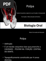 6- Polpa
