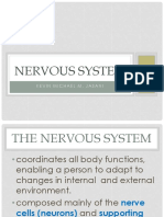 Nervous System and Special Senses-Kevin Michael M. Jasani