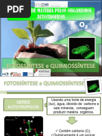 Obtenção de matéria pelos seres autotróficos- fotossintese e quimiossintese.pptx