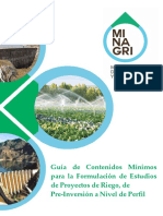 CONTENIDOS MINIMOS PERFIL DGIAR.pdf