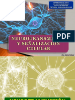 Neurotransmisión y Señalización Celular