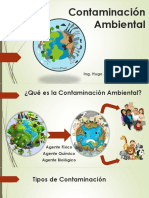 Contaminación Ambiental