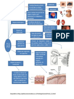 Practica 1 Biopsias-1