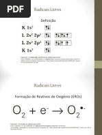 Radicais Livres Scrib.ppt
