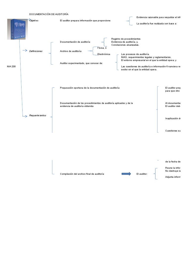 289706 Mapa Conceptual NIA 230 Auditoría Contralor