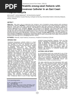 VIP Score for IV Cannula Assessment | PDF | Intravenous Therapy | Angiology