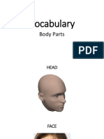 Vocabulary BodyParts