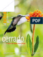 Retratos - Cerrado - Junho 2018