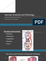 anatomy.pdf