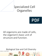 06 2EarthandLifeScience SpecializedCellOrganelles