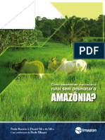 Como Desenvolver a Economia Rural Sem Desmatar a Amazonia