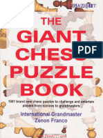 The Gaint Puzzle Book