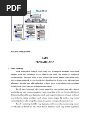 Makalah Tuna Grahita Abk