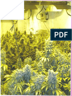 Marijuana Horticulture - 2