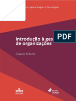 intro_gestao_organizacoes.pdf