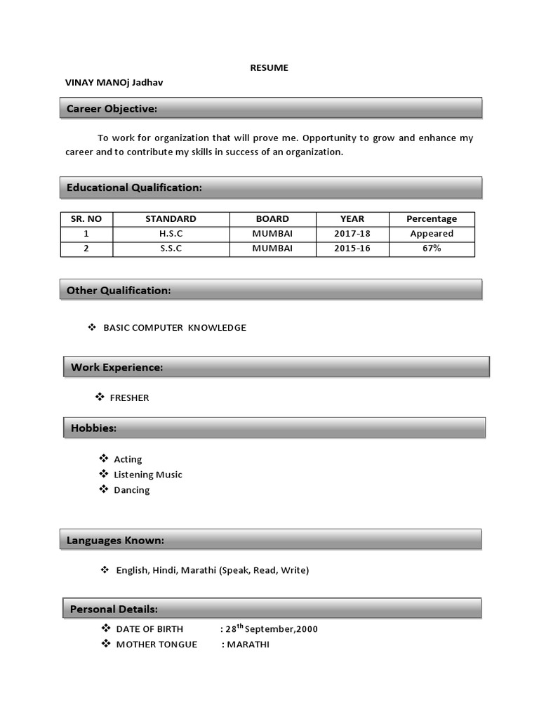 Vinay Resume | PDF