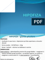 HIPOFIZA