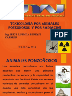 Animales Ponzoñosos Radiaciones