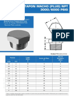 Tapon NPT 6000 Psig Acero Forjado A105