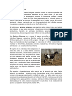 Estrés en caprinos: causas y soluciones