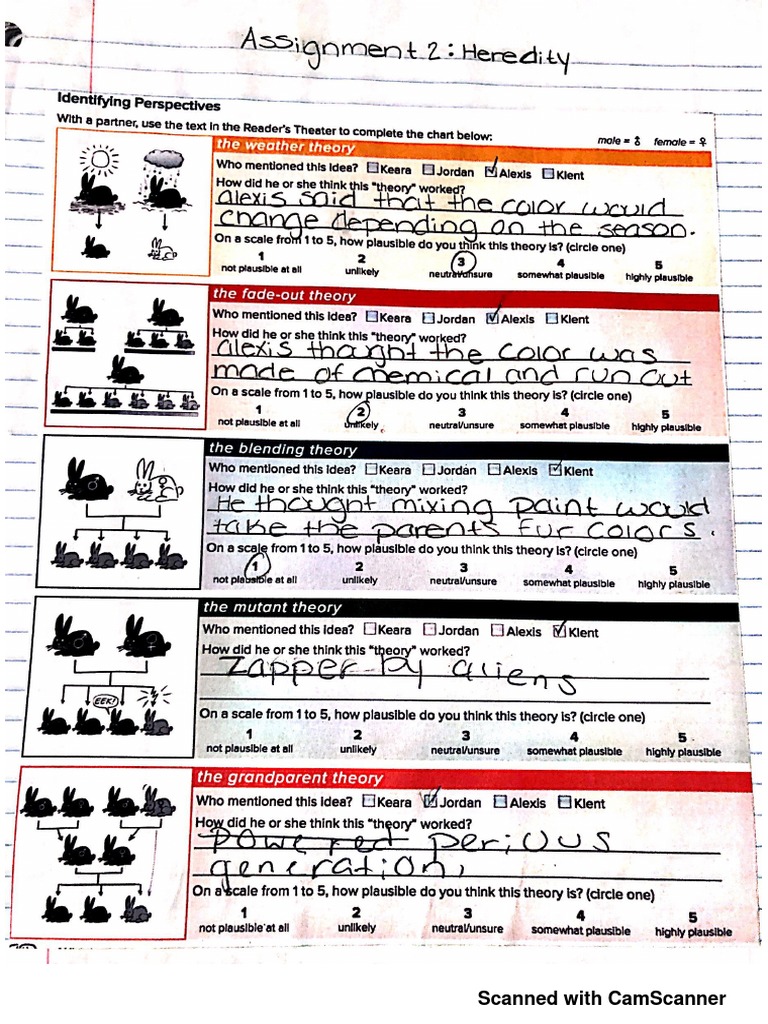 Document Scanning Overview | PDF