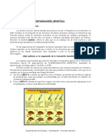 Guia Sobre Informacion Genética