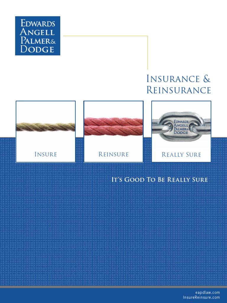 Insurance Re Insurance Brochure | PDF | Insurance | Reinsurance
