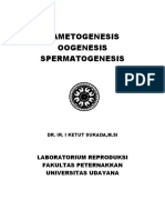 Gametogenesis Oogenesis Spermatogenesis: Laboratorium Reproduksi Fakultas Peternakkan Universitas Udayana