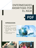 Enfermedades Transmitidas Por El Agua