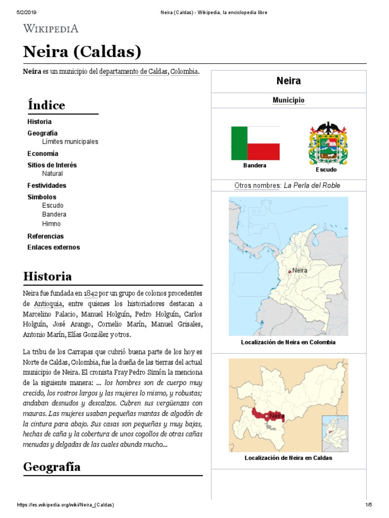 Neira Caldas | PDF | Business