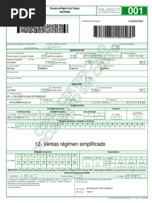 Rut formato editable