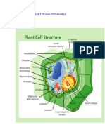 Biologi Sel