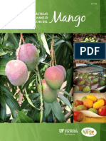 Manual de Prácticas para el mejor manejo Postcosecha del Mango.pdf