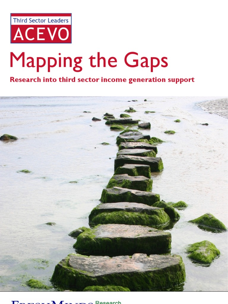 Mapping The Gaps | PDF | Survey Methodology | Qualitative Research