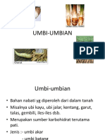 UMBI-UMBIAN.ppt