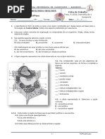 a-cc3a9lula-biomolc3a9culas-e-transporte_10.pdf