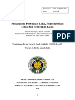 Mekanisme Perbaikan Luka, Penyembuhan Luka Dan Penutup Luka