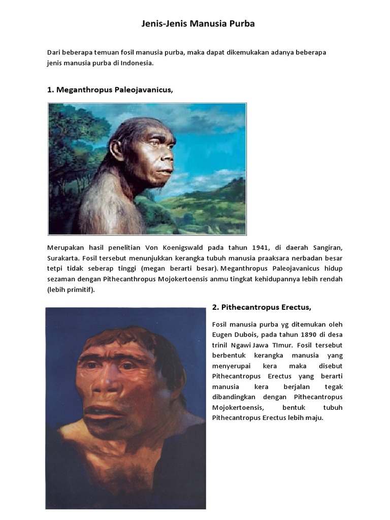 Jenis Manusia Purba