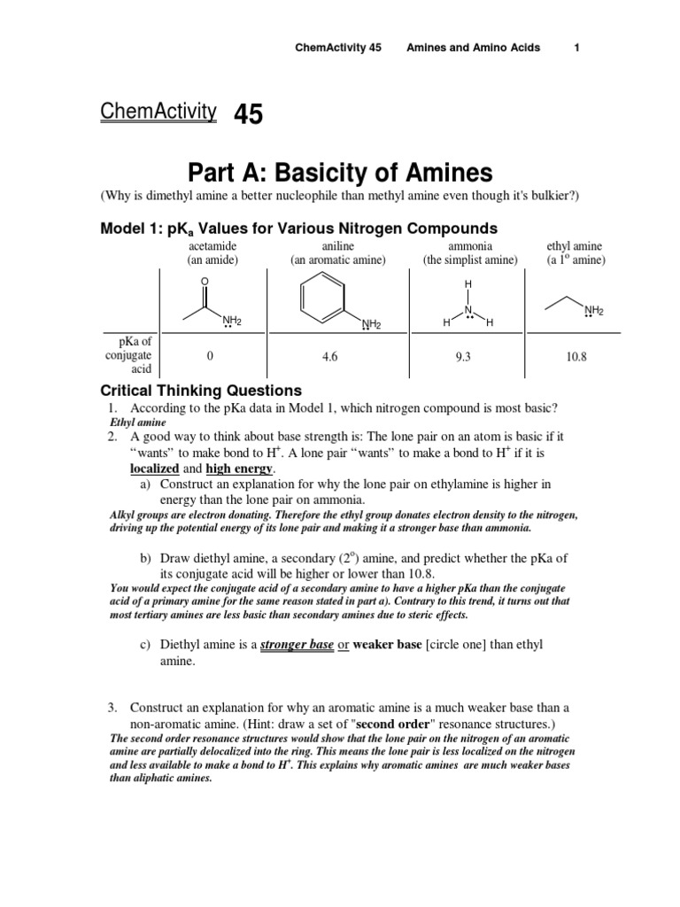 Understanding Amines and Amino Acids | PDF