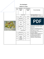 Biscuiti Fisa Tehnologica Nr7