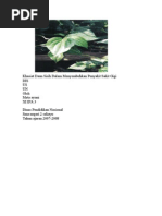 Download Khasiat Daun Sirih Dalam Menyembuhkan Penyakit Sakit Gigi by oscar_bai SN39904333 doc pdf