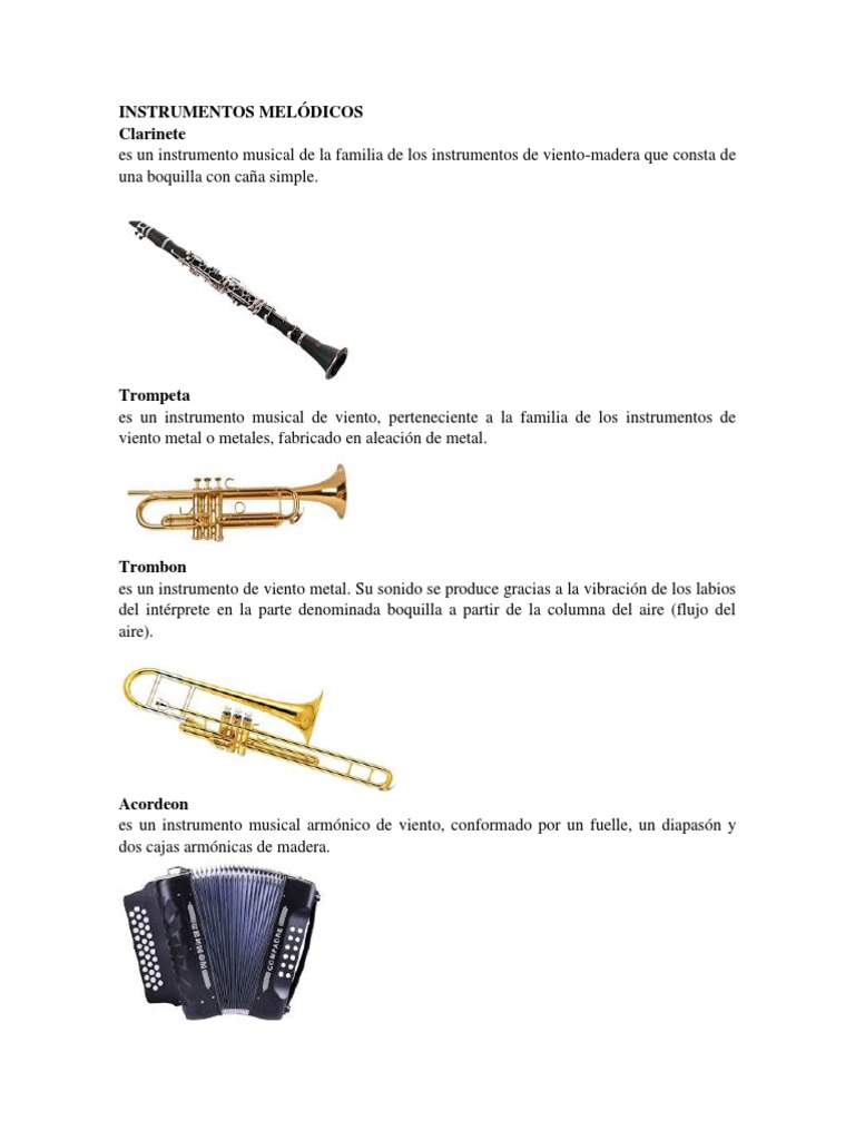 INSTRUMENTOS MELÓDICOS Violonchelo Instrumentos musicales