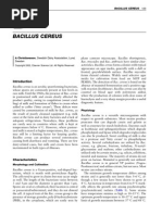 Download Bacilus Cereus by princesse_u SN39904411 doc pdf