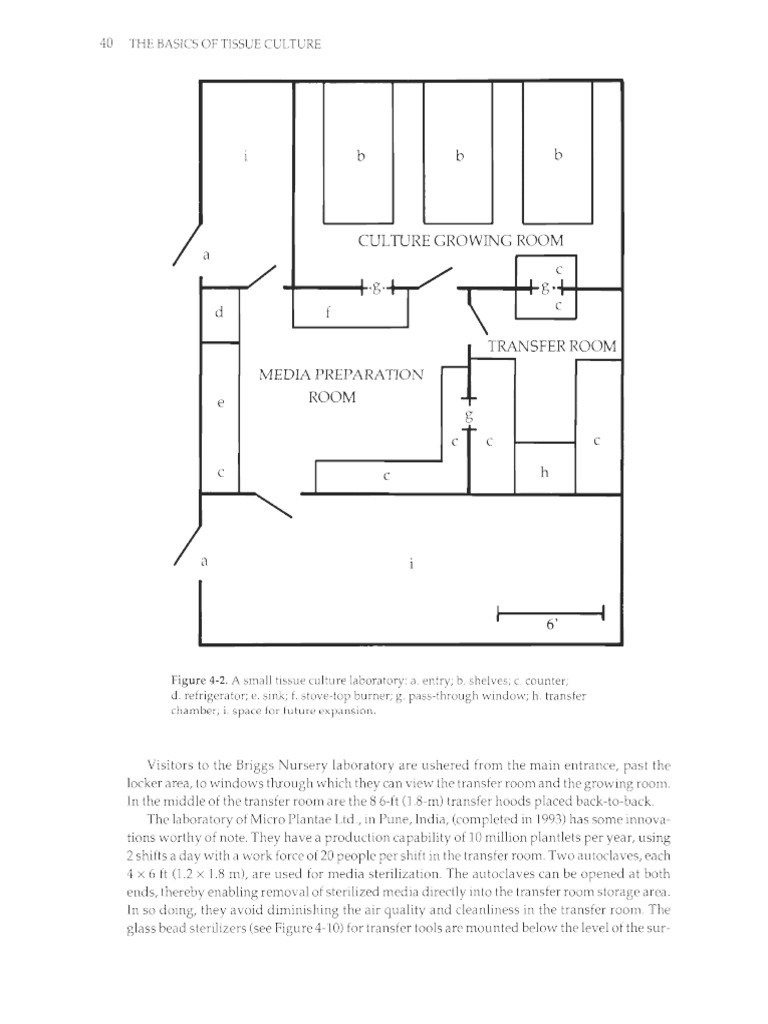 Lab Plan | PDF, image size:768x1024