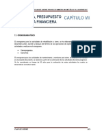 Cap Vii Cronograma, Presupuesto y Garantia Financiera