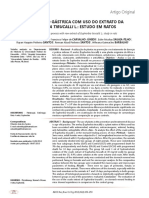 Cicatrização Gástrica Com Uso Do Extrato Da Euphorbia Tirucalli L.