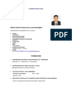 CV 2 Onpe PDF