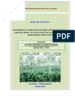 3.2. SNIP AGROFORESTAL LALAQUIZ.pdf